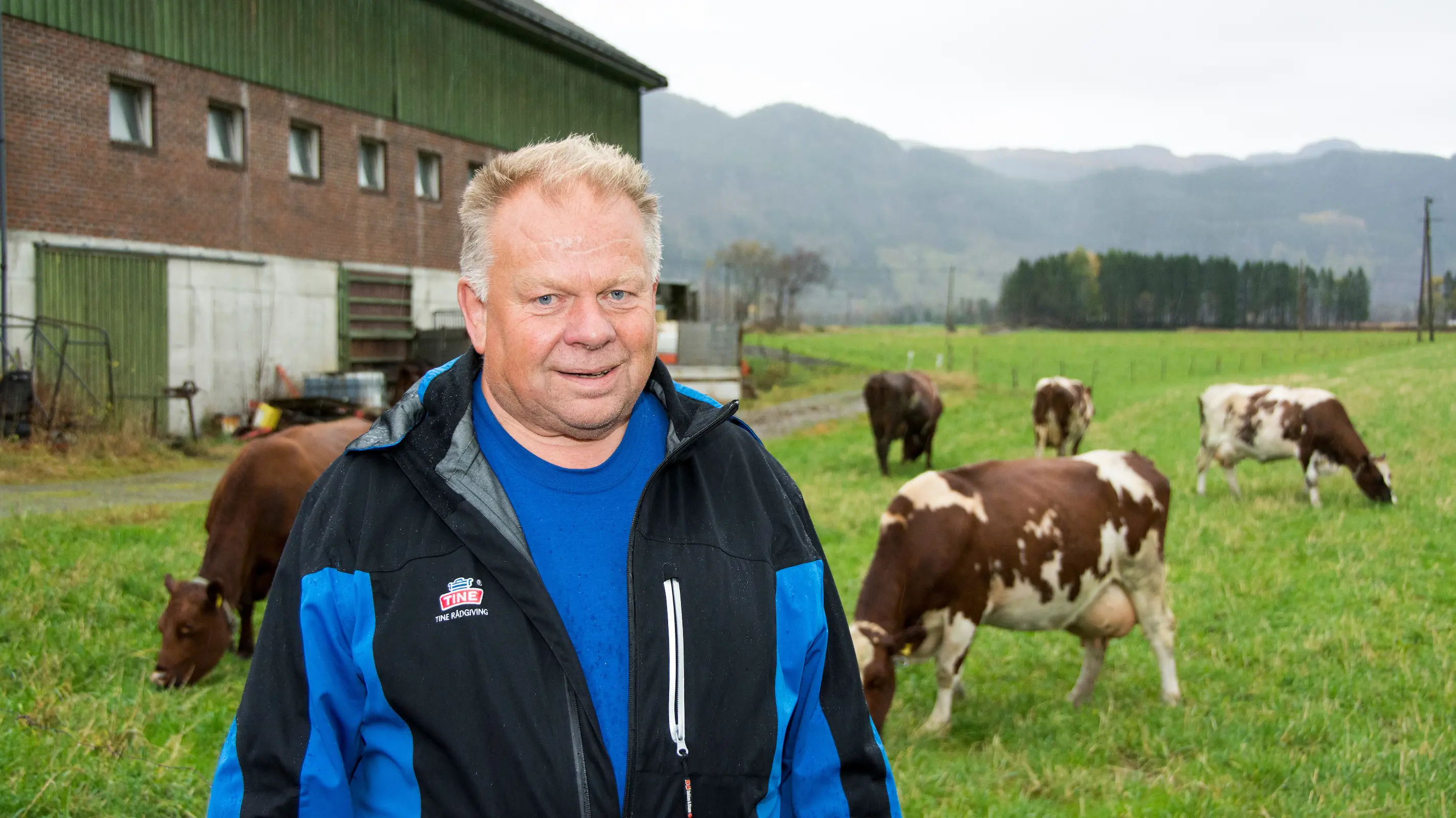 Det største TINE-kontoret finn du i Ølen