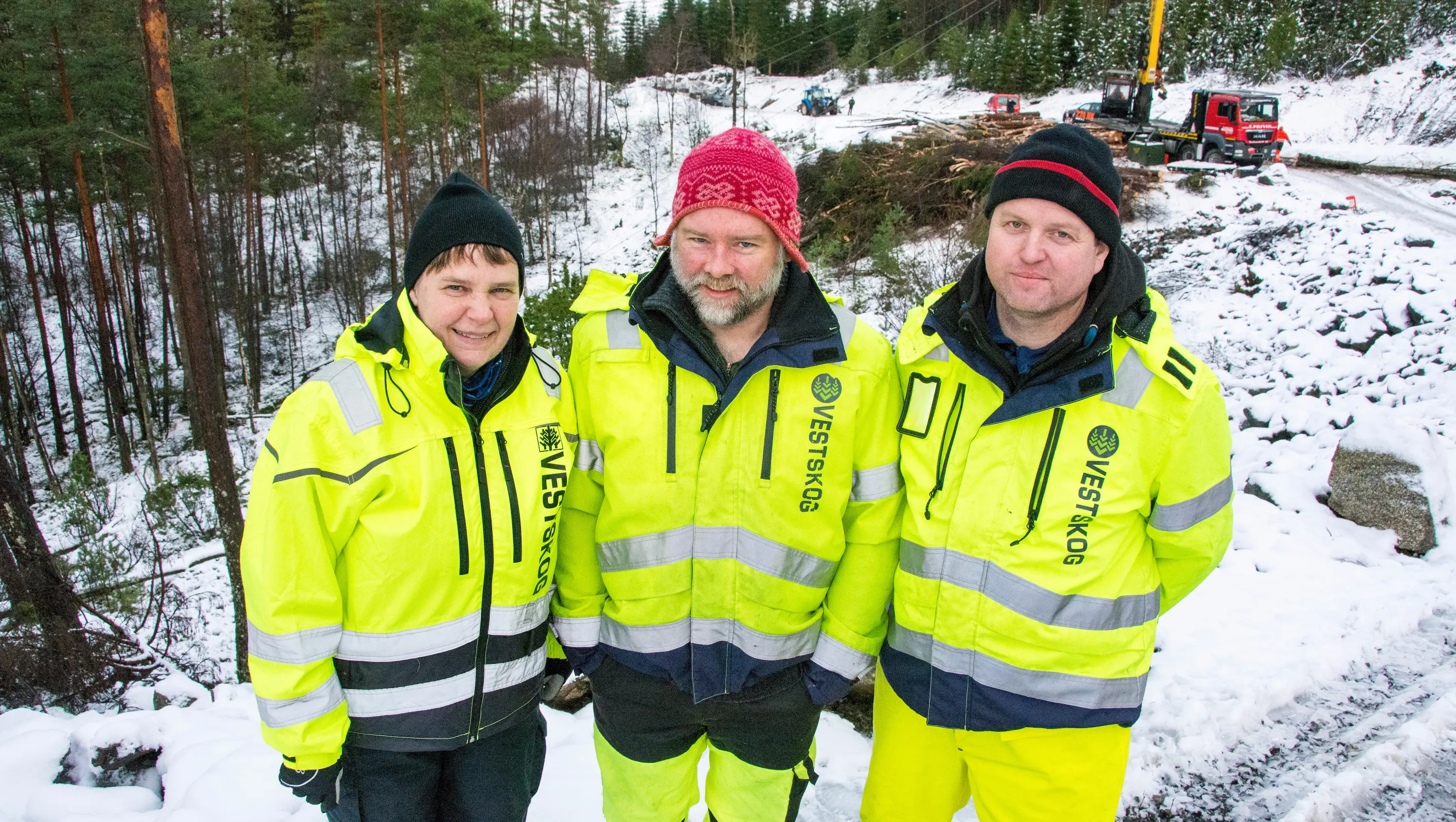 Har du skog, har Vestskog kunnskap