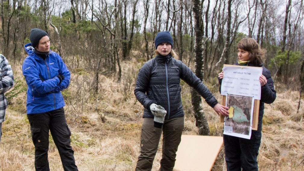 Stor skogfagleg samling for kvinner