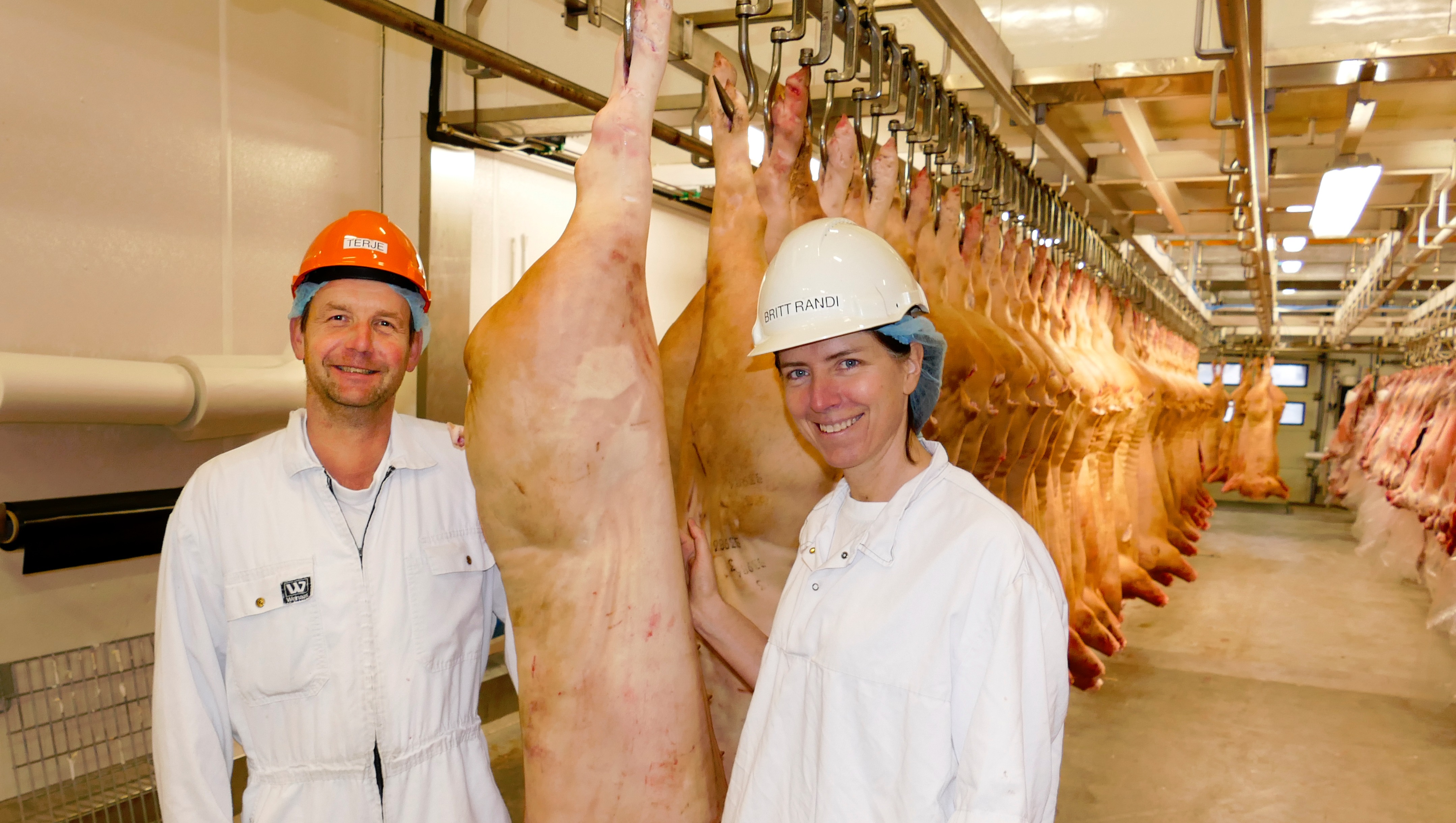 Fabrikksjefen tar sjølv del i slaktinga