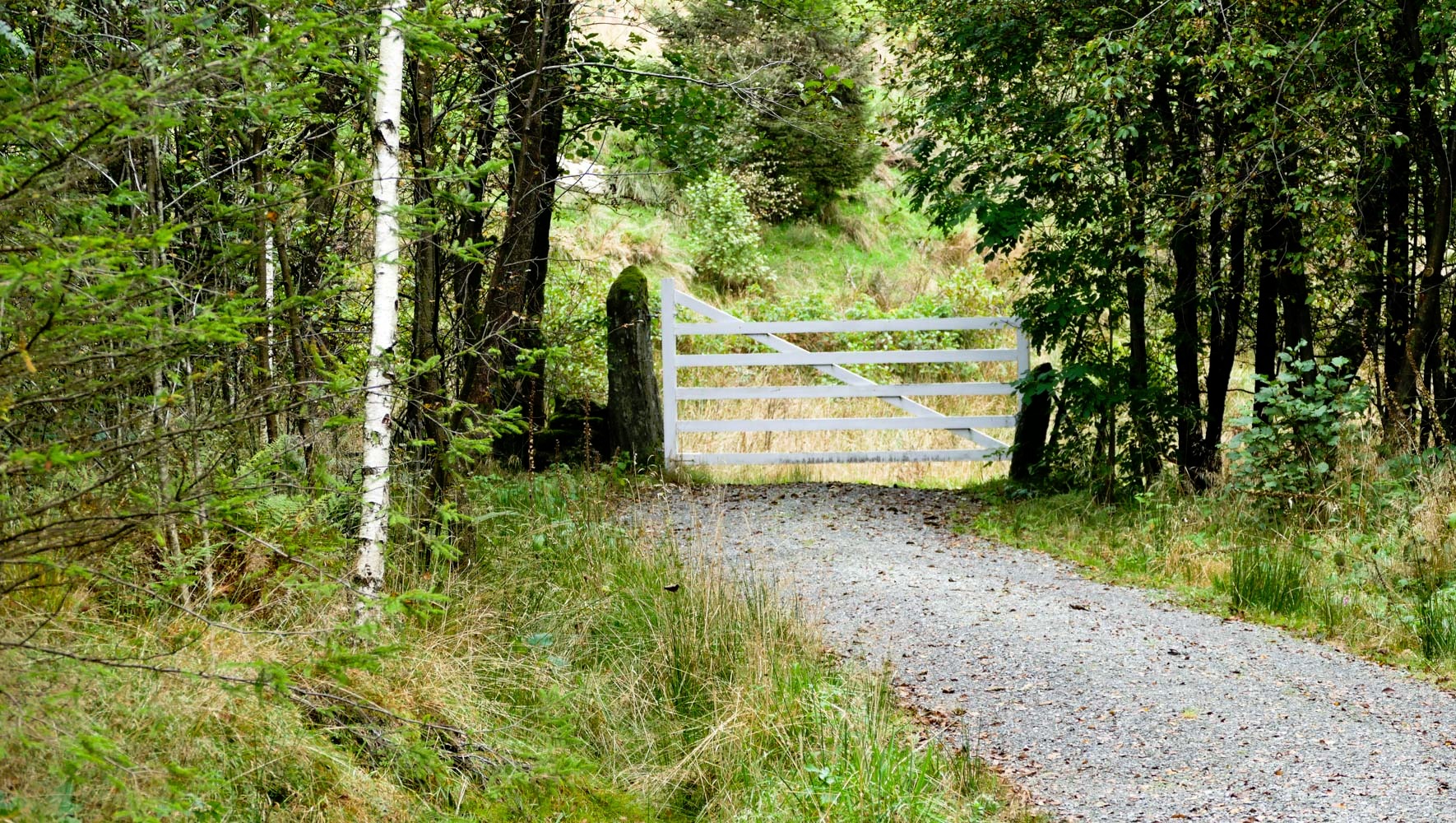 Turvegar skal kopla bygdene saman